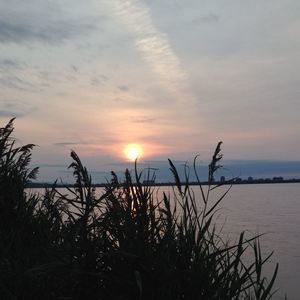 Meet your Posher, Kathryn e